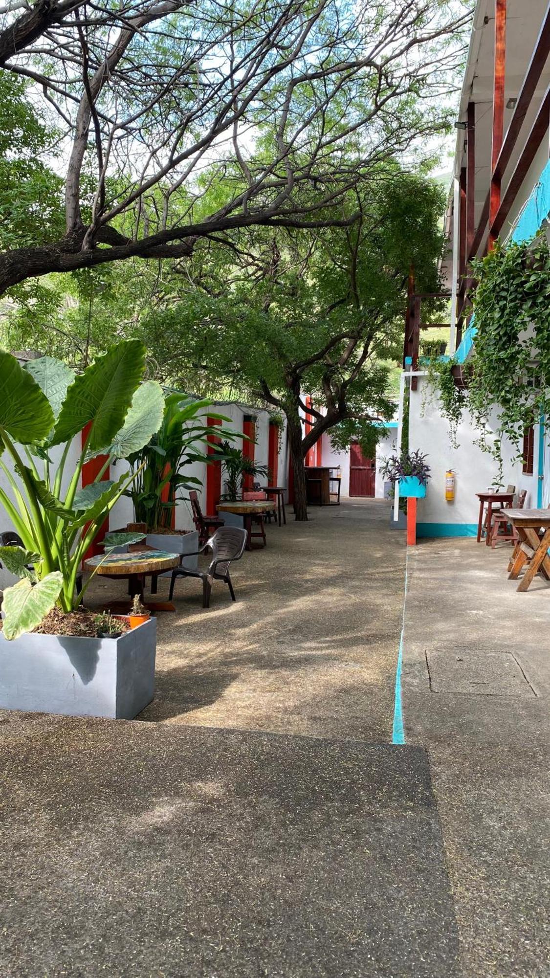 Sierraventura Hostel Taganga Eksteriør bilde